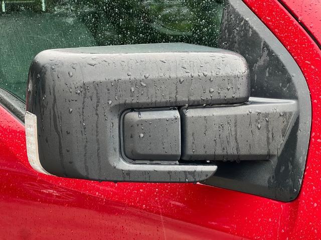 2021 Ford F-150 Vehicle Photo in Brunswick, GA 31525