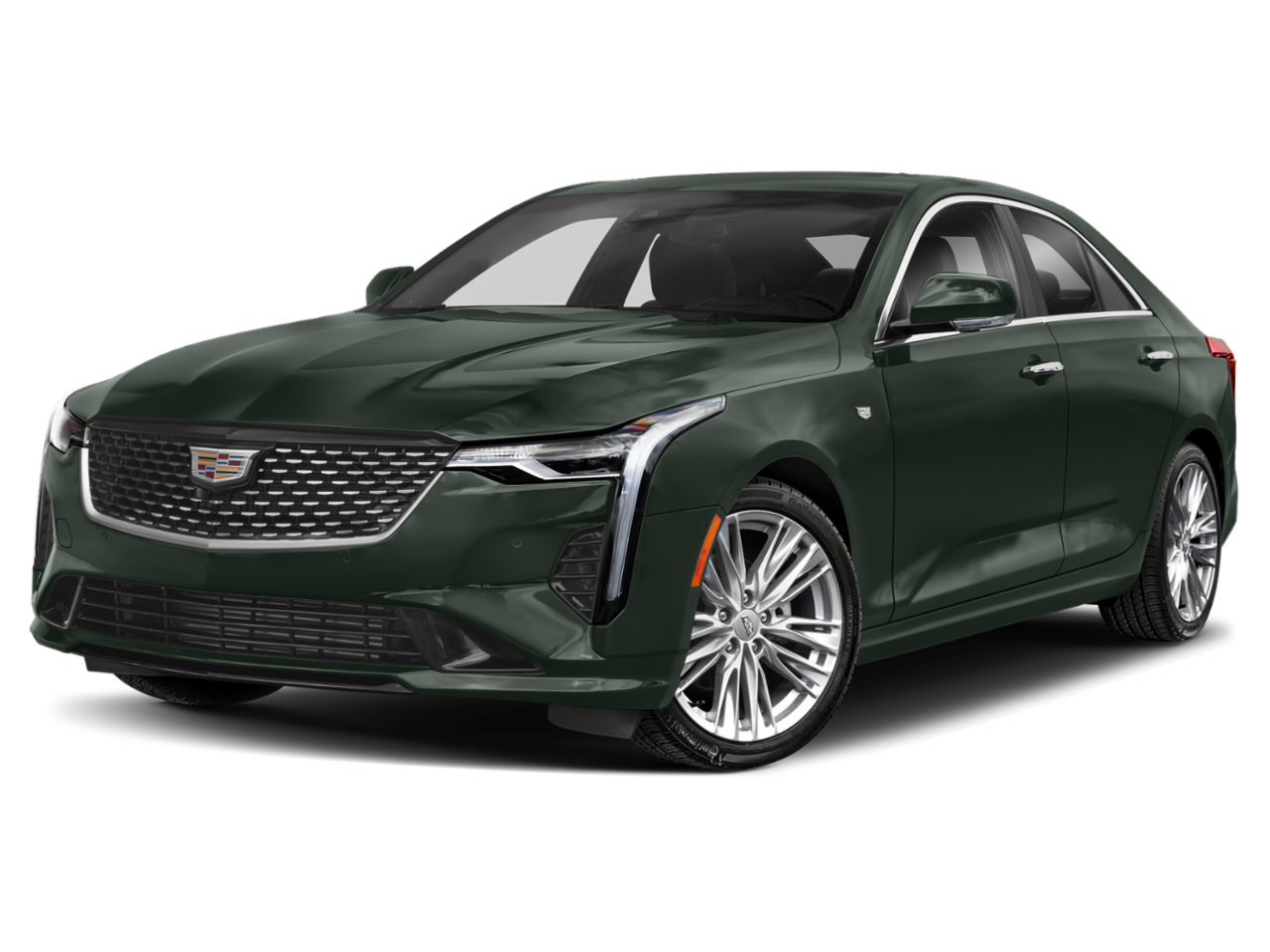 CT4 Luxury Evergreen Metallic