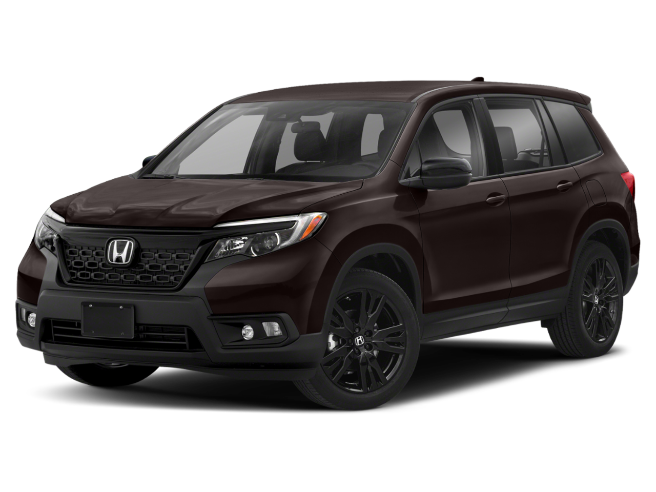 Passport Sport Black Copper Pearl