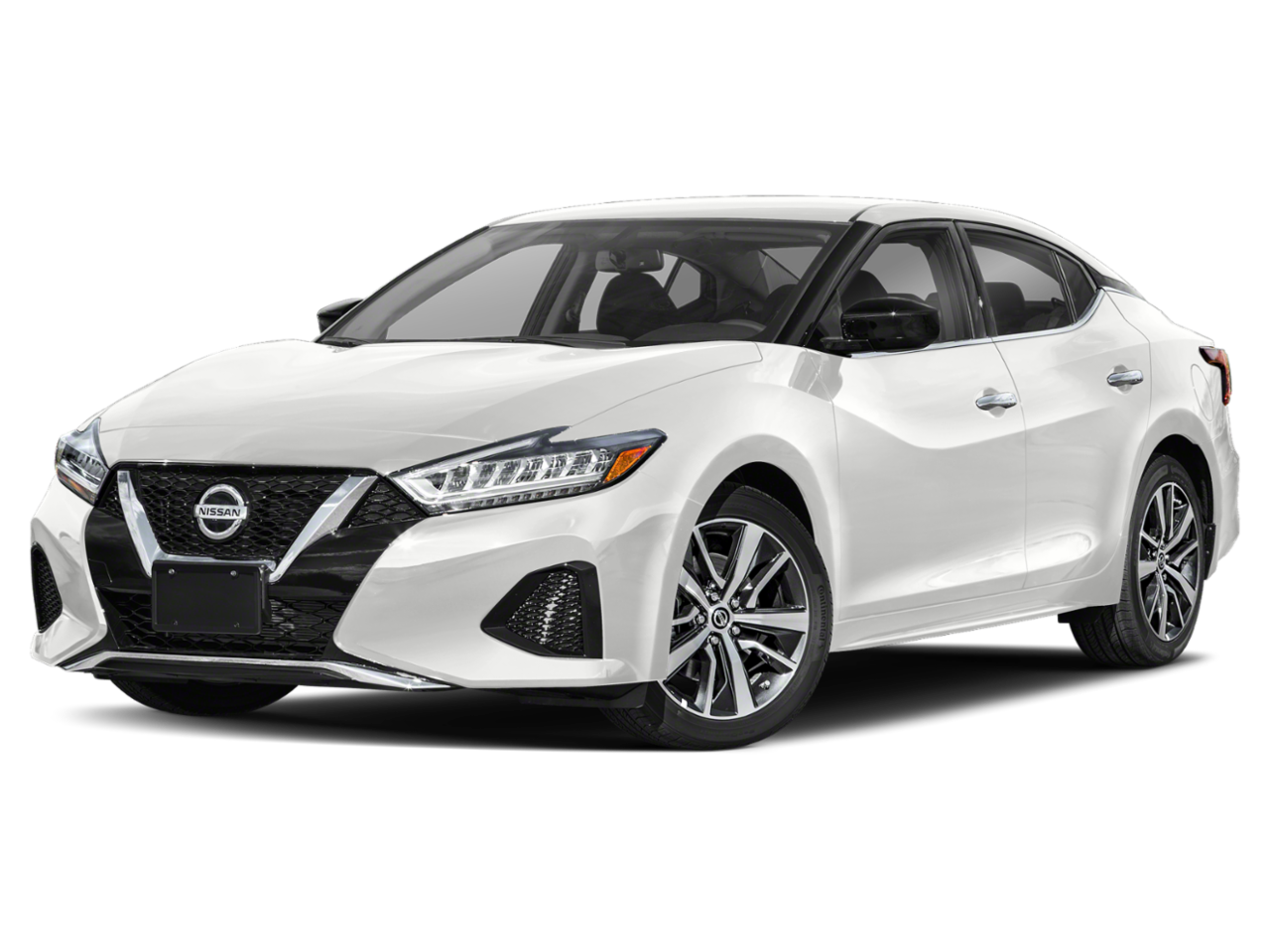 Maxima SV Pearl White Tricoat