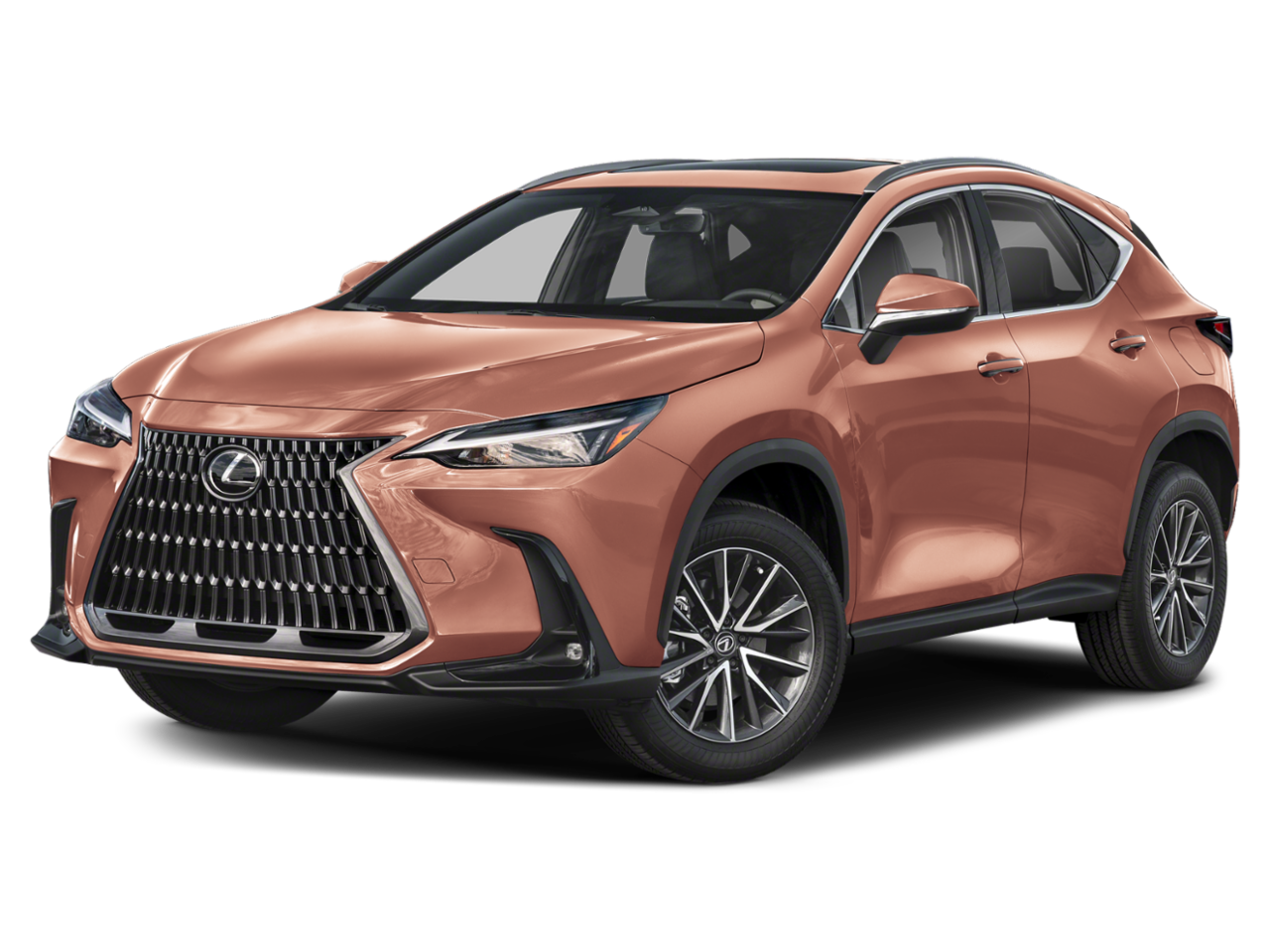 NX 250
