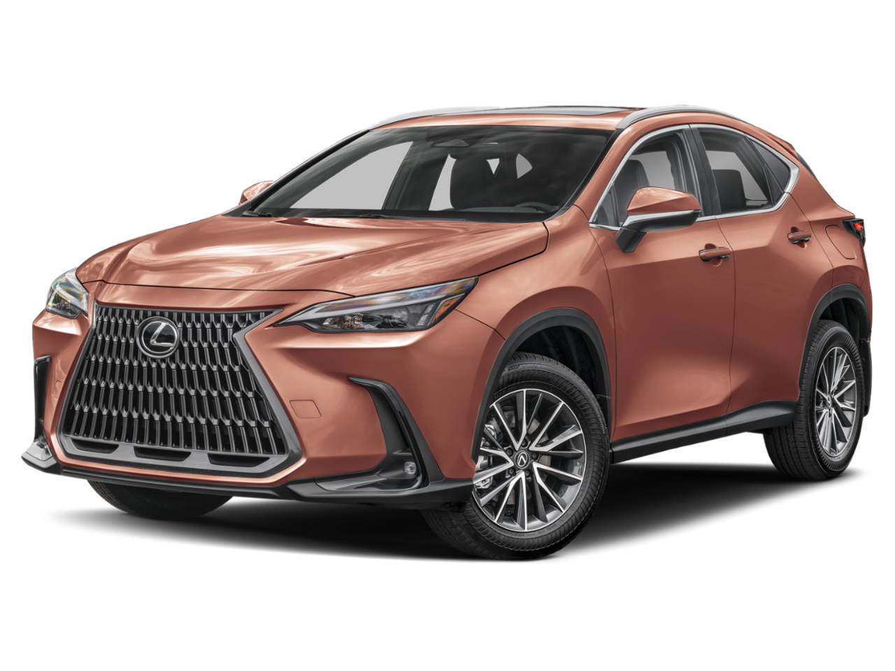 NX 350h NX 350h Copper Crest