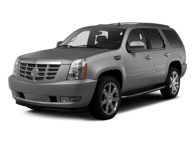 2010 Cadillac Escalade Vehicle Photo in MEDINA, OH 44256-9631