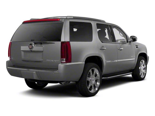 2010 Cadillac Escalade Vehicle Photo in MEDINA, OH 44256-9631