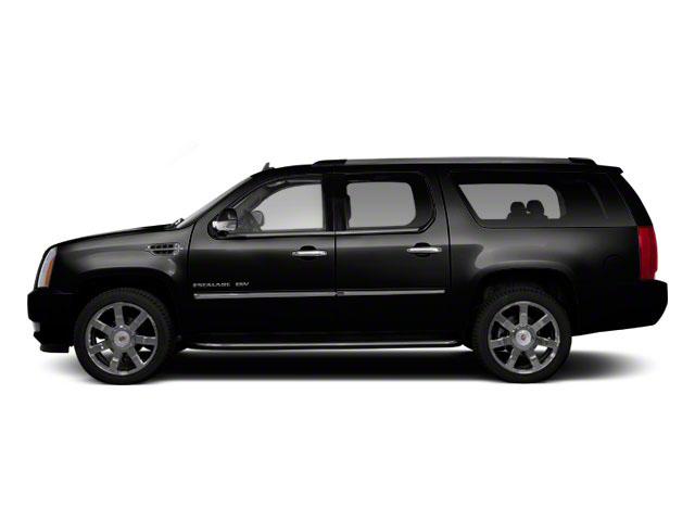 2010 Cadillac Escalade ESV Vehicle Photo in MILFORD, OH 45150-1684
