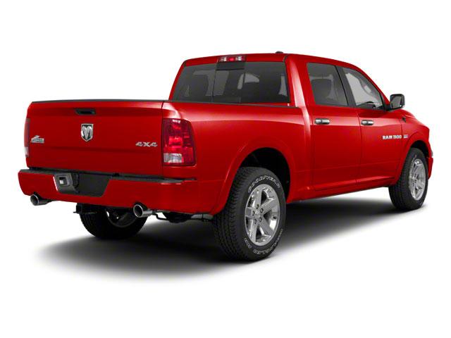 2010 Dodge Ram 1500 Vehicle Photo in ALBERTVILLE, AL 35950-0246