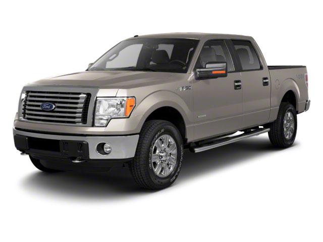 2010 Ford F-150 Vehicle Photo in Panama City, FL 32401