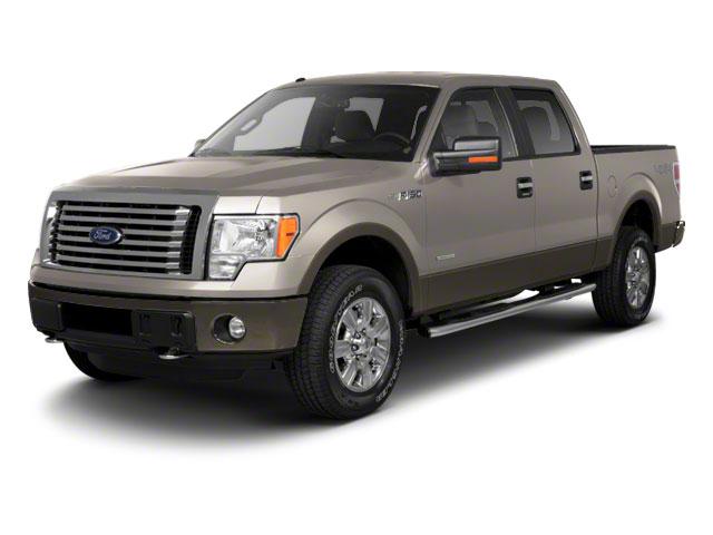 2010 Ford F-150 Vehicle Photo in Panama City, FL 32401