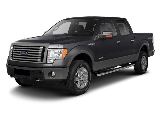 2010 Ford F150 Vehicle Photo in SPOKANE, WA 99212-2978