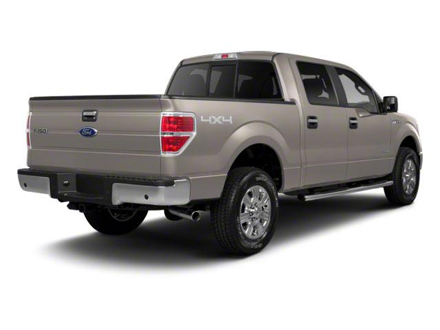 2010 Ford F-150 Vehicle Photo in Panama City, FL 32401