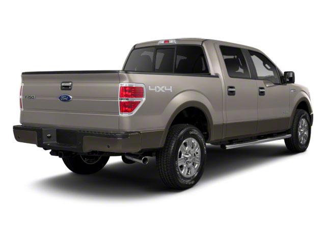 2010 Ford F-150 Vehicle Photo in Panama City, FL 32401