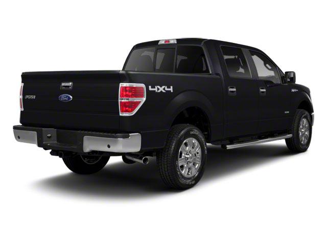 2010 Ford F-150 Vehicle Photo in MANITOWOC, WI 54220-5838