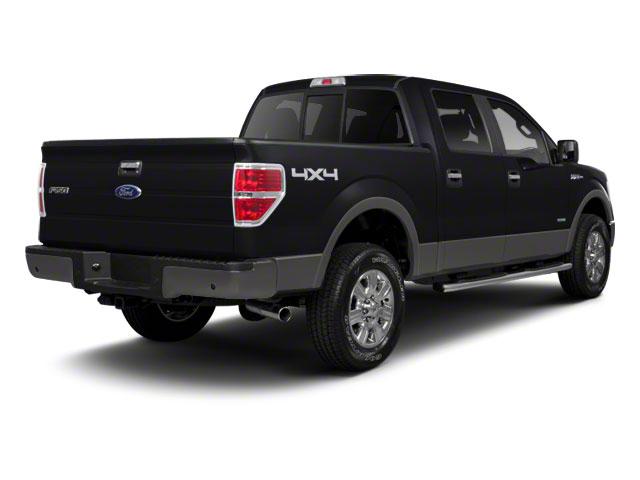 2010 Ford F150 Vehicle Photo in SPOKANE, WA 99212-2978