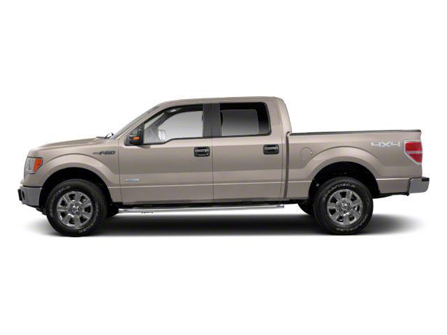 2010 Ford F-150 Vehicle Photo in Panama City, FL 32401