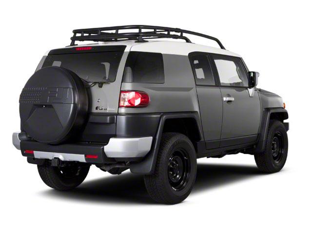 2010 Toyota FJ Cruiser Vehicle Photo in Appleton, WI 54913