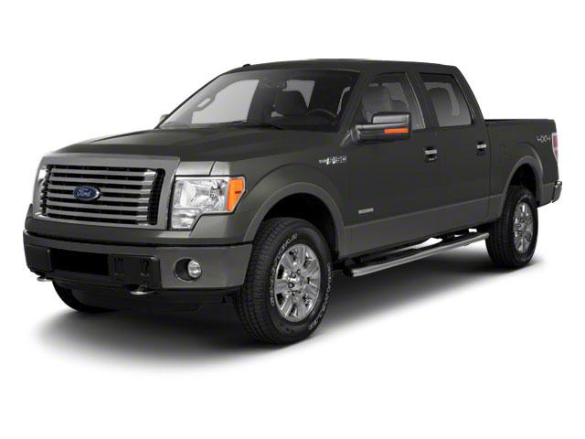 2011 Ford F-150 Vehicle Photo in SELMA, TX 78154-1460