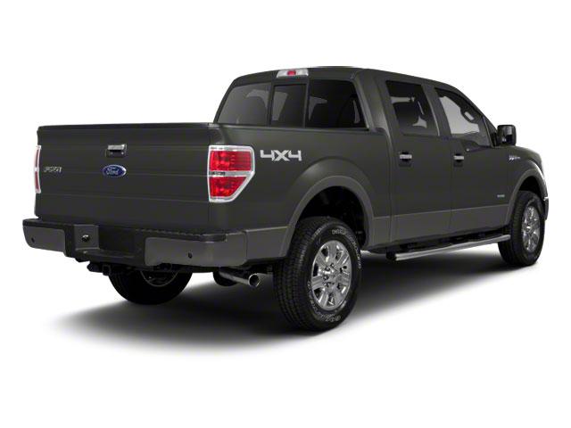 2011 Ford F-150 Vehicle Photo in SELMA, TX 78154-1460