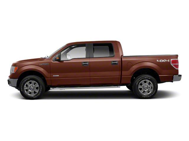 2011 Ford F-150 Vehicle Photo in Corpus Christi, TX 78415