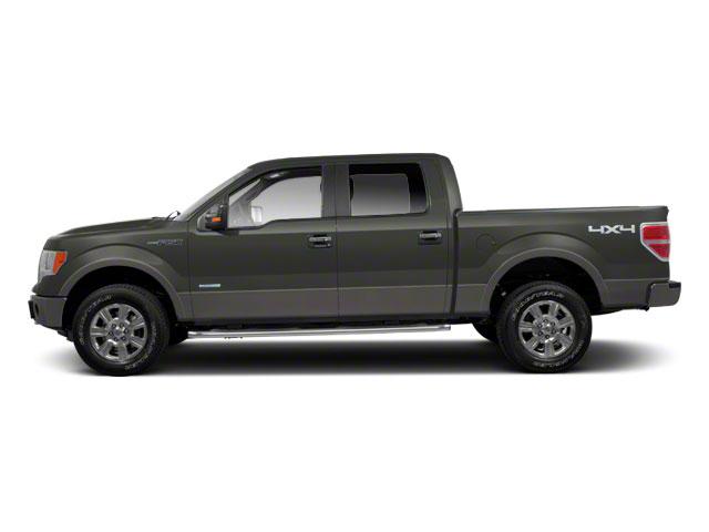 2011 Ford F-150 Vehicle Photo in SELMA, TX 78154-1460