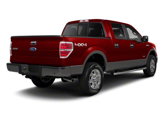 2012 Ford F-150 Vehicle Photo in Corpus Christi, TX 78415