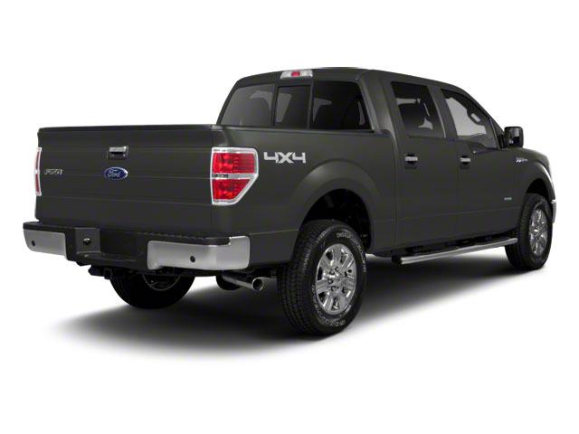 2012 Ford F-150 Vehicle Photo in Jacksonville, FL 32256