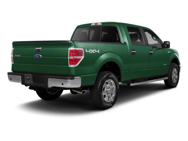 2012 Ford F-150 Vehicle Photo in Panama City, FL 32401