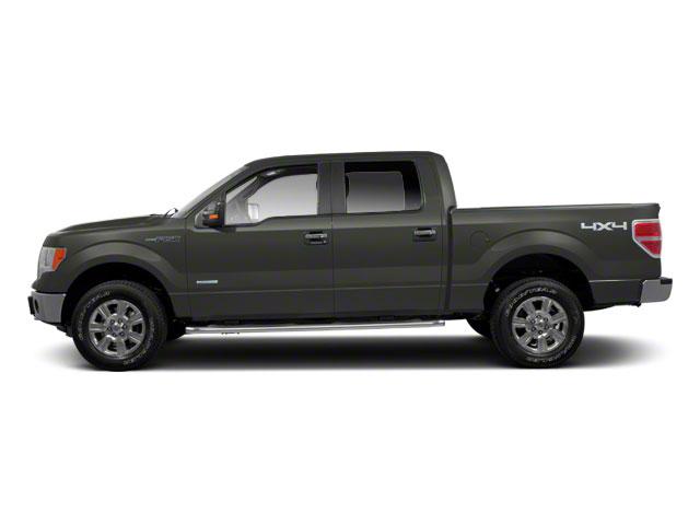 2012 Ford F-150 Vehicle Photo in Jacksonville, FL 32256