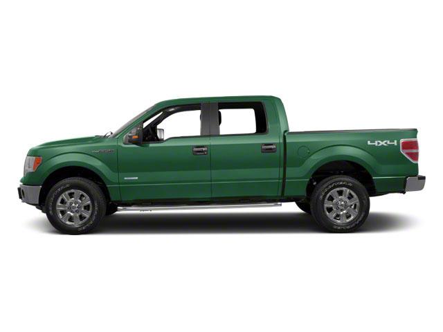 2012 Ford F-150 Vehicle Photo in Panama City, FL 32401