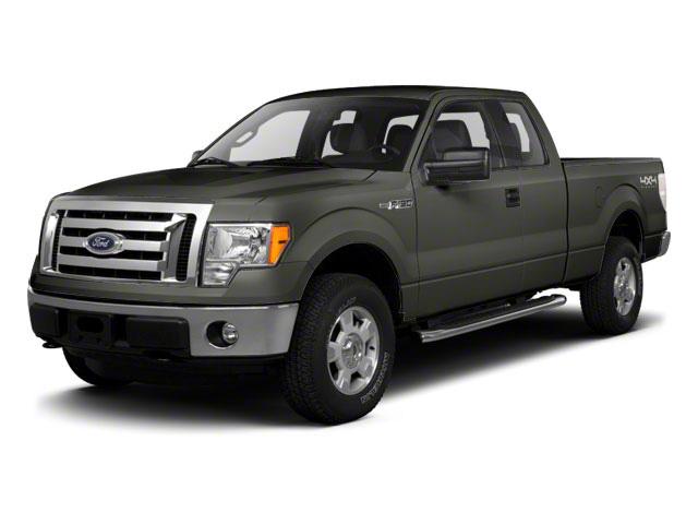 2012 Ford F-150 Vehicle Photo in ELLWOOD CITY, PA 16117-1939