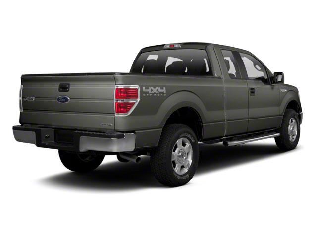 2012 Ford F-150 Vehicle Photo in Jacksonville, FL 32256