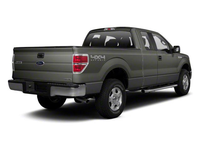 2012 Ford F-150 Vehicle Photo in Jacksonville, FL 32256