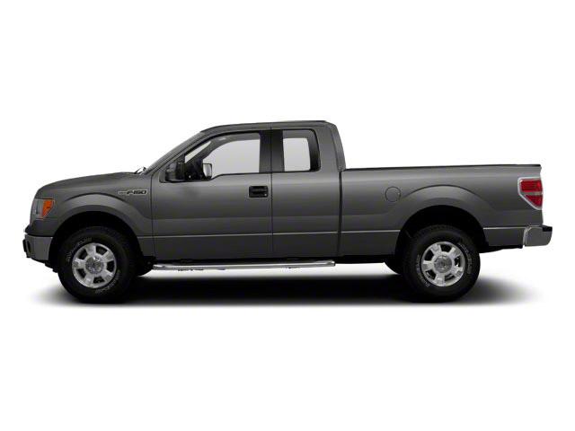 2012 Ford F-150 Vehicle Photo in GLENWOOD, MN 56334-1123