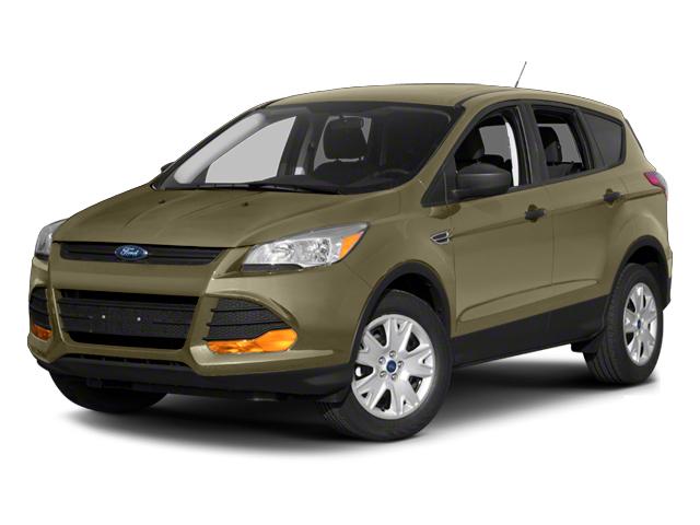 2013 Ford Escape Vehicle Photo in Memphis, TN 38128