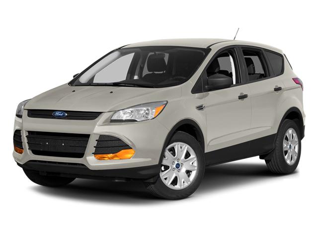 2013 Ford Escape Vehicle Photo in Panama City, FL 32401