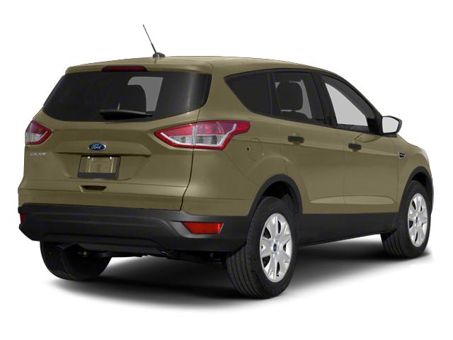 2013 Ford Escape Vehicle Photo in Memphis, TN 38128