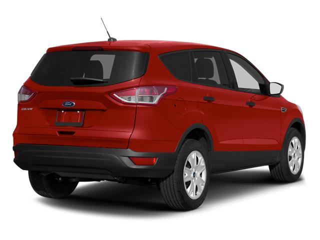 2013 Ford Escape Vehicle Photo in Green Bay, WI 54304