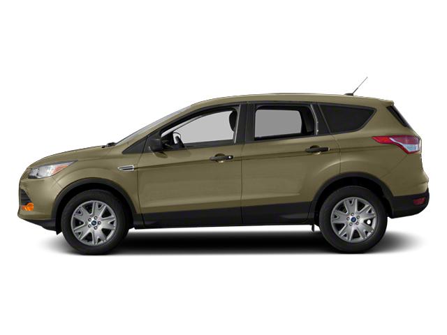 2013 Ford Escape Vehicle Photo in Memphis, TN 38128