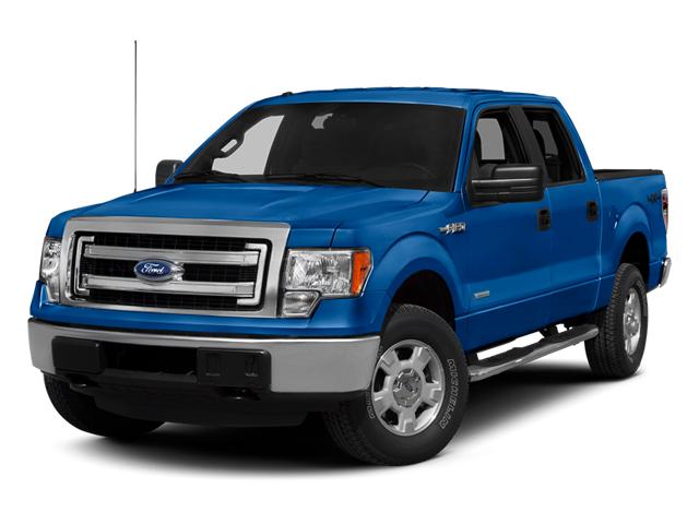 2013 Ford F-150 Vehicle Photo in GLENWOOD, MN 56334-1123