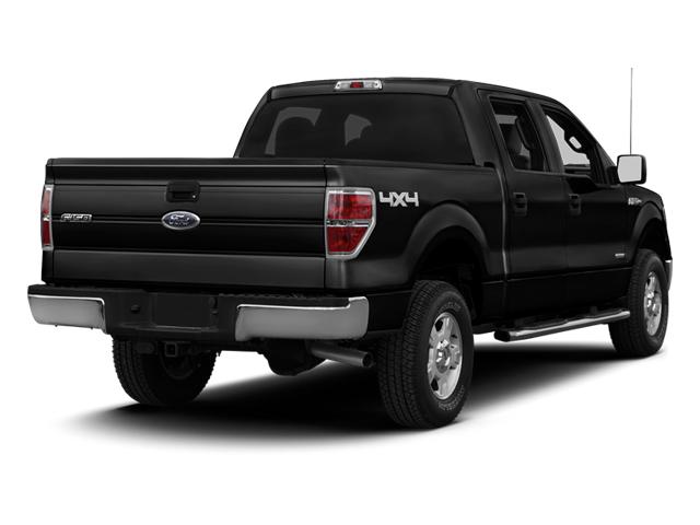 2013 Ford F-150 Vehicle Photo in Panama City, FL 32401