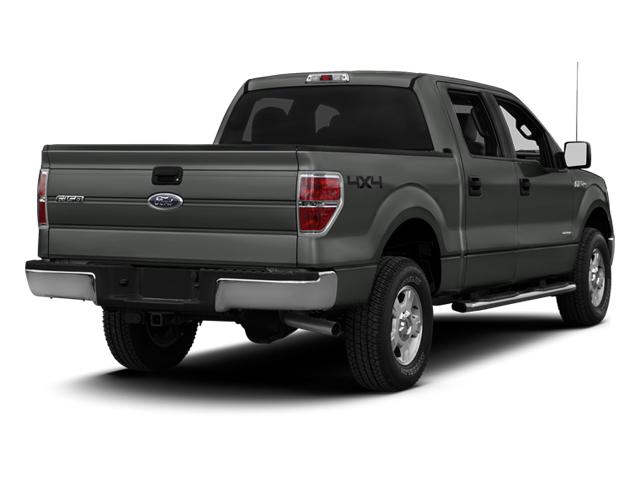 2013 Ford F-150 Vehicle Photo in CORPUS CHRISTI, TX 78412-4902