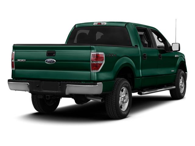 2013 Ford F-150 Vehicle Photo in MEDINA, OH 44256-9631