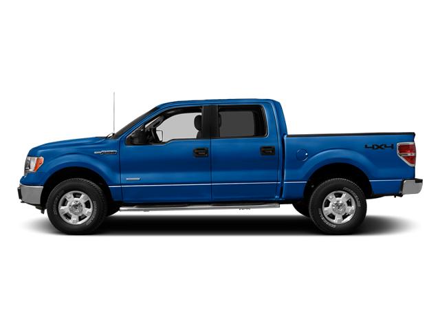 2013 Ford F-150 Vehicle Photo in GLENWOOD, MN 56334-1123