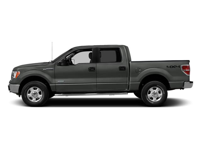 2013 Ford F-150 Vehicle Photo in Corpus Christi, TX 78415