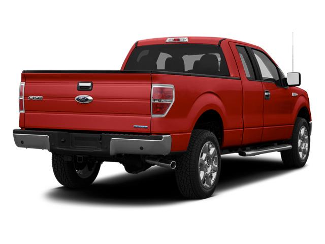 2013 Ford F-150 Vehicle Photo in Harrisburg, PA 17111-1033