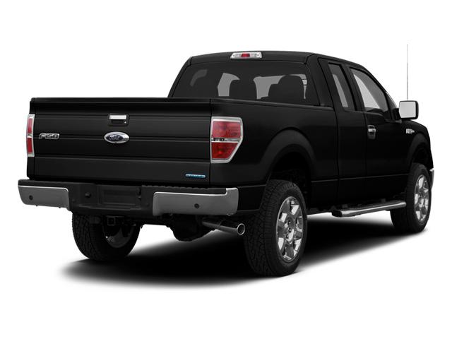 2013 Ford F-150 Vehicle Photo in St. Petersburg, FL 33713