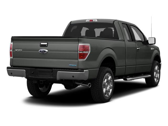 2013 Ford F-150 Vehicle Photo in APPLETON, WI 54914-8833