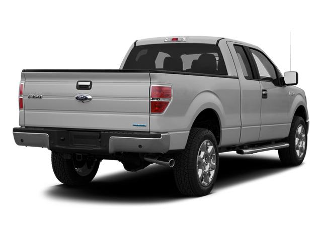 2013 Ford F-150 Vehicle Photo in MEDINA, OH 44256-9631