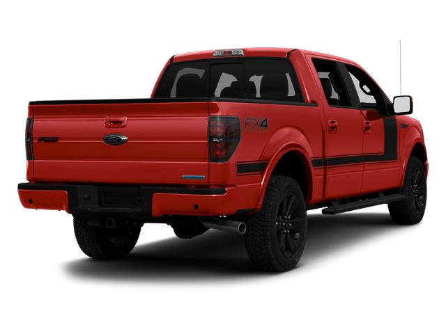 2013 Ford F-150 Vehicle Photo in Jacksonville, FL 32244