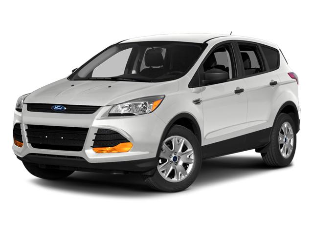 2014 Ford Escape Vehicle Photo in SELMA, TX 78154-1460