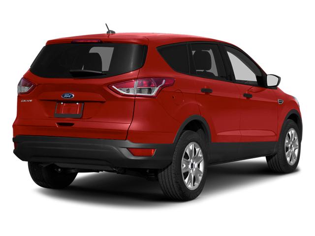 2014 Ford Escape Vehicle Photo in Jacksonville, FL 32256